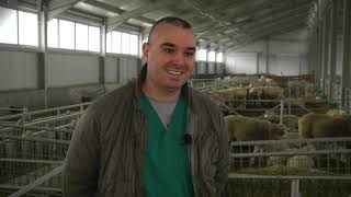 Животновъден дневник: Ферма с месодайни овце Ил дьо Франс в Рабиша, автор: Мирела Спасова