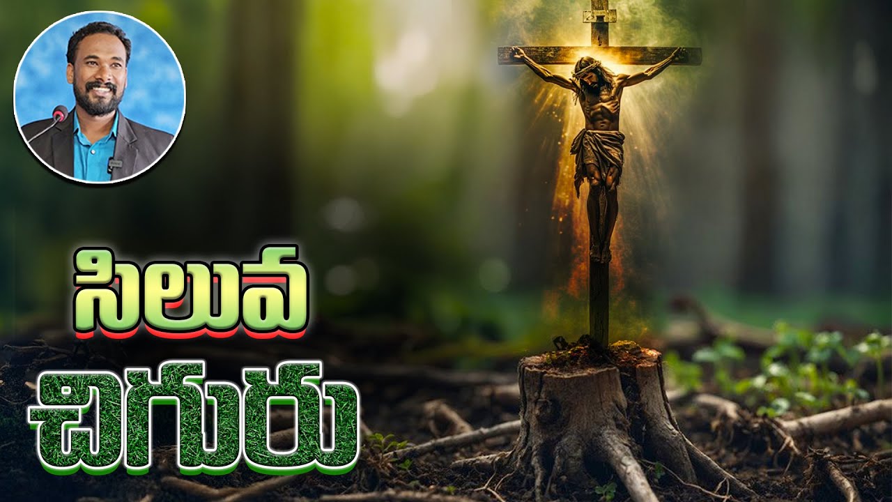 సిలువ చిగురు || యెషయా 11:1-5 || Pastor JOHN PAUL #biblestudy #isaiah #pastorjohnpaul