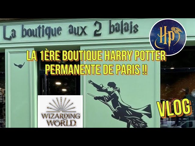 Perplexus Harry Potter – La boutique Aux 2 Balais