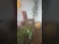 ٢٩ نوفمبر ٢٠٢٤ ٢٩ نوفمبر ٢٠٢٤