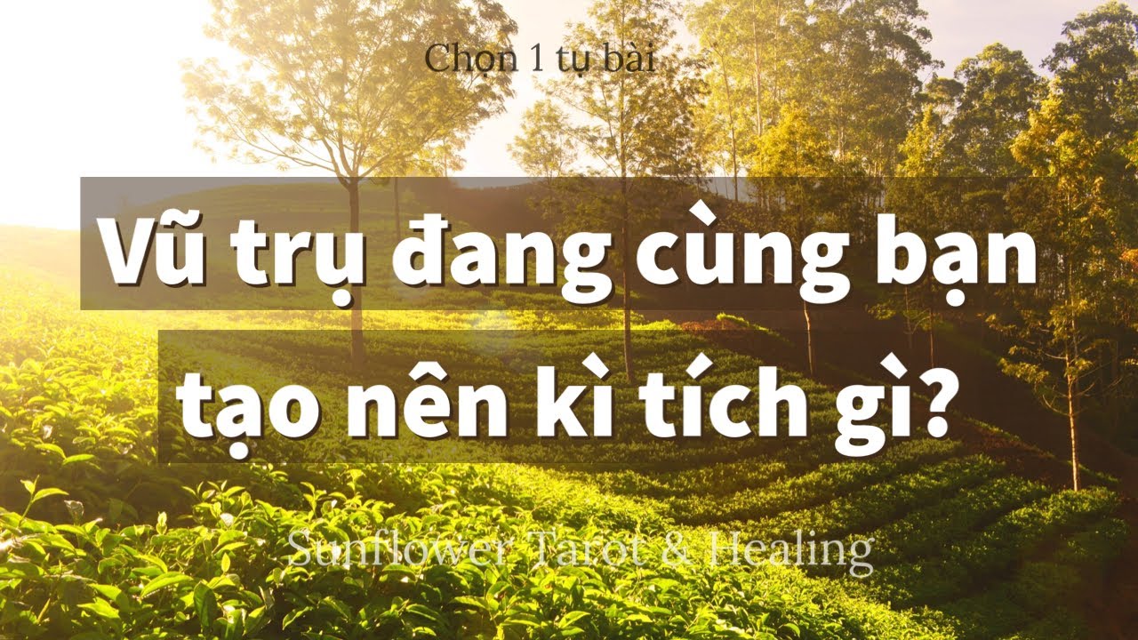 Chọn 1 tụ bài - Vũ trụ đang cùng bạn tạo nên kì tích gì?