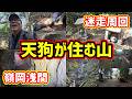 【房州低名山】天狗の石、基準点、廃道、もちろん極上の穴も登場 #嶺岡浅間 #鴨川 #千葉 #安房