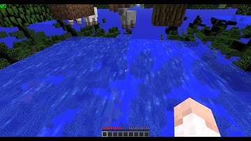 Minecraft 1.8 render bug