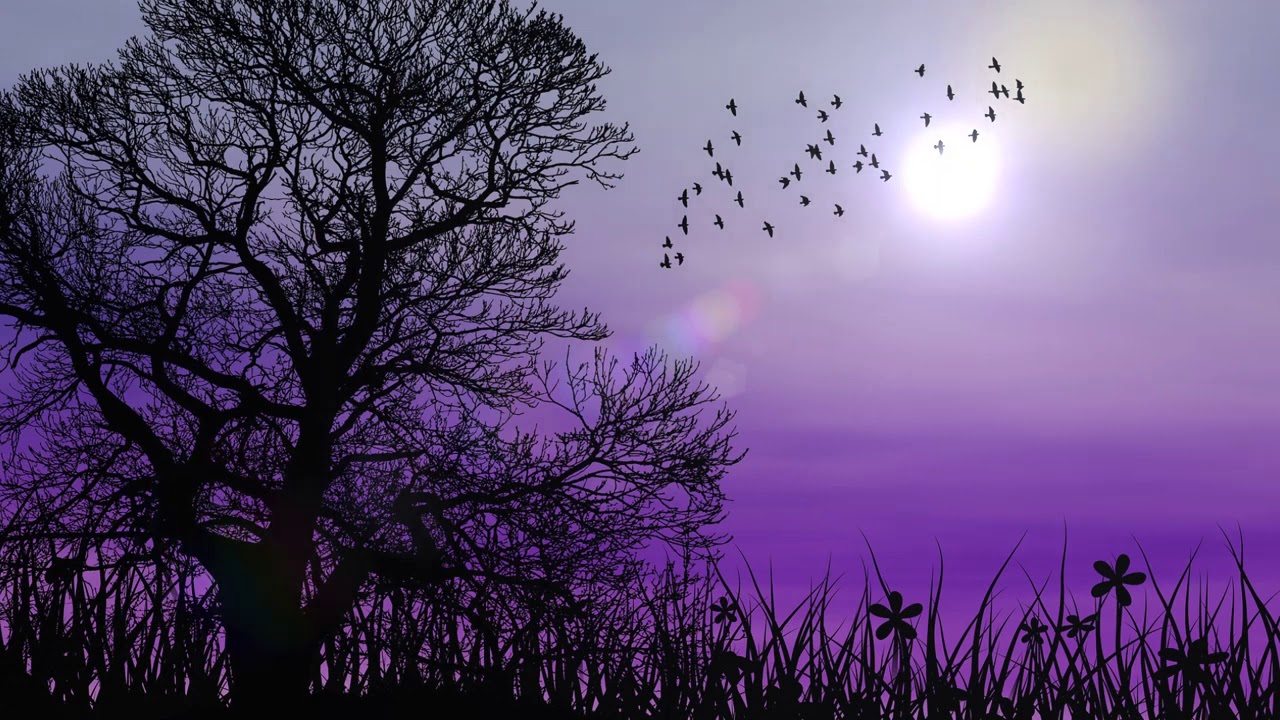 Entspannende Musik Entspannende Musik