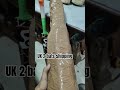 all over world courier available best price used cricket bat available in Delhi shop #bats #cricket