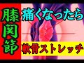 背骨やひざや股関節の痛みを解消！軟骨再生ストレッチ（緩めて可動域スイング）(字幕あり）