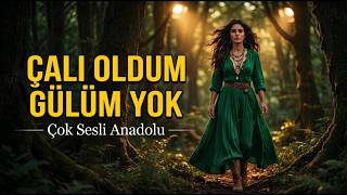 Çalı Oldum Gülüm Yok Türkü Cover Saz Ve Solo Ses Çok Sesli Anadolu