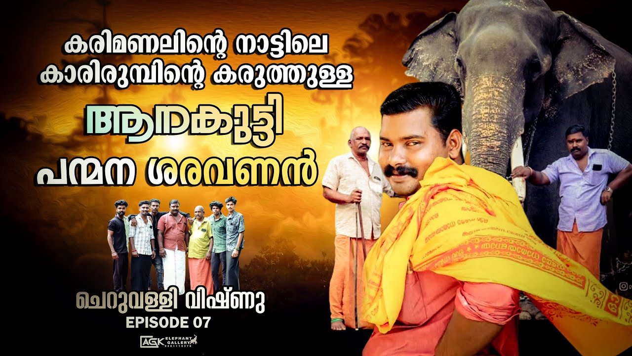 എല്ലായിടത്തേയും പോലെ എന്തിനും ഏതിനും ആനക്കാര്യത്തിൽ കൂടെ നിക്കുന്ന പിള്ളേർ ഇവിടെയും ഉണ്ട്
