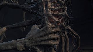 Bloodborne: Defiled Chalice Amygdala Solo Strategy