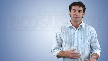 Accrisoft Freedom - Classifications