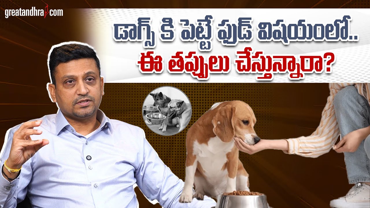 డాగ్స్ ఫుడ్ విషయంలో.. ఈ తప్పులు చేస్తున్నారా? : Common Dog Feeding Mistakes Explained