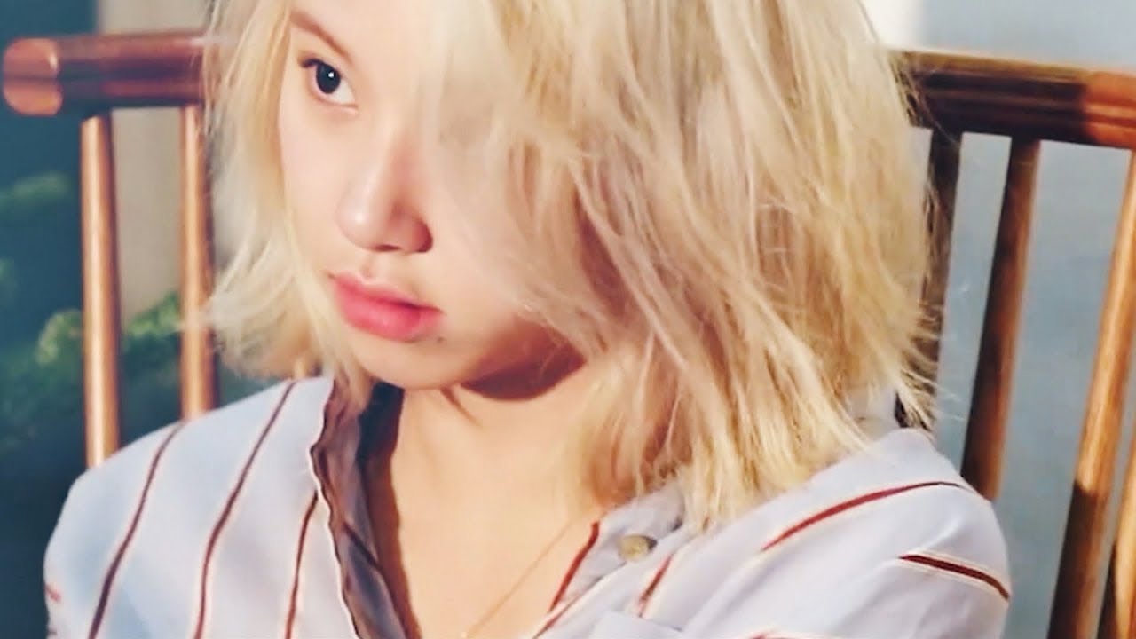 손채영 Special