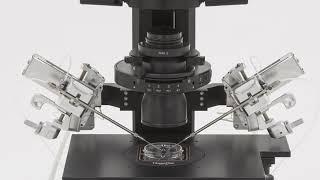 Micromanipulation!