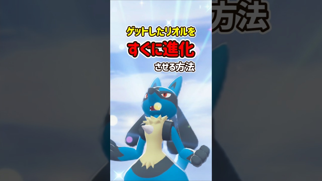 リオル ar 各10枚 計20枚 Page Title