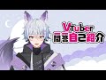 【新人Vtuber/自己紹介】Vtuber一問一答自己紹介【玉藻玖雪】