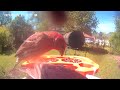 Bird 🐦 Video morning today 