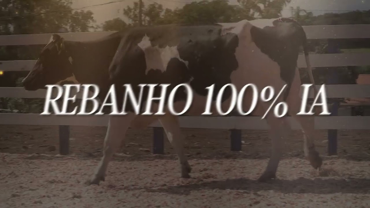 VT Leilão Liquidação Total Fazendas Reunidas - Barro Preto e Sumaré