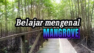 MY LIFE MY ADVENTURE ( hutan mangrove balikpapan barat)
