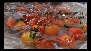 Official Teaser | Feed Junkie