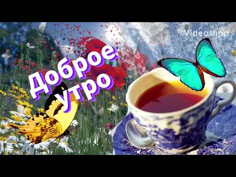 С Добрым Утром☕️Доброе Утро И Хорошего Дня🌸Музыкальная Открытка🌿Пожелание Доброго Утра
