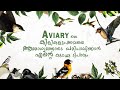 My Aviary and Birds |Tips For Birds Breading in Aviary Malayalam | കിളികളെ ബ്രീഡ് ചെയ്യാൻ ഉള്ള വഴികൾ