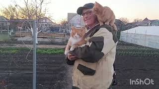 Белгородская область. 6:04:2024г.Первые посадки в огороде 🧅🥕🥔