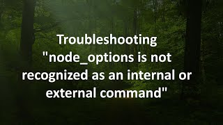 Troubleshooting "node_options is not recognized as an internal or external command"