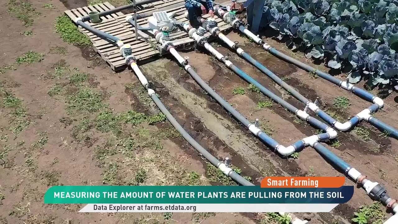 Smart Farming: Monitoring The Amount of Water in Plants From Space