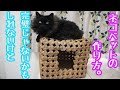 何年前に作ったのかわからない猫ハウスをもう一度作りました。
