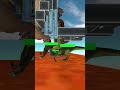 food race