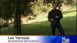 Experts Urge Caution When Picking Wild Mushrooms