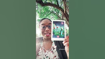 4.13.23 Daily Oracle Card Reading. #oraclecards #dailyreading #oracle