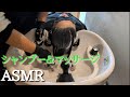 シャンプー＆マッサージASMR【やさしいコーミング付】Relax Shampoo