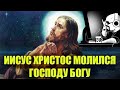 Ежи Сармат разбирает видео "Иисус не Бог"