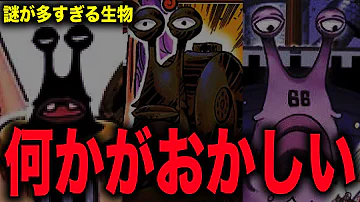 ズニーシャ 元々敵だった Dの一族 月の民はミスリード 光月家の裏切りを示す太陽のマークとは ワンピース 1040話 ジャンプネタバレ注意 考察 Mp3