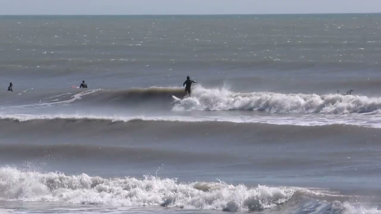 Surfside 2-15-2026 Dump #16