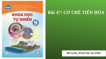 Khoa học tự nhiên 9 - Bài 47: CƠ CHẾ TIẾN HÓA( Chân trời sáng tạo)