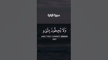 #آية_الكرسي #سورة_البقرة #ماهر_المعيقلي #لايك #اكسبلور #قرآن #راحة_نفسية
