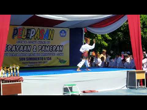 Perisai diri IPSI Fabian (Abi) surabaya