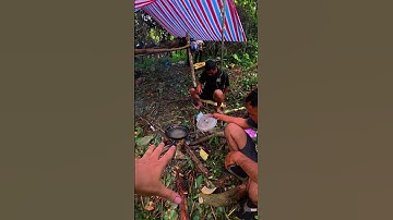 Thử thách LÀM CHÒI, NẤU ĂN trong rừng mưa nhiệt đới! | Di Hướng Nội