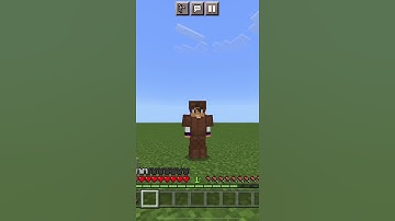 Which armor can save you from ravager? | Part 1 #minecraft