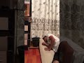 Ð’Ð°Ñƒ! ÐšÐ°ÐºÐ¾Ð¹ ÐºÐ»Ð°ÑÑÐ½Ñ‹Ð¹ Ð»Ð°Ð¹Ñ„Ñ…Ð°ÐºðŸ—¿