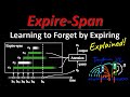 Expire-Span: Not All Memories are Created Equal: Learning to Forget by Expiring (Paper Explained)