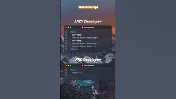 Lazy vs Pro Developer #html #css #code #web #webdesign #viral #animation #frontend