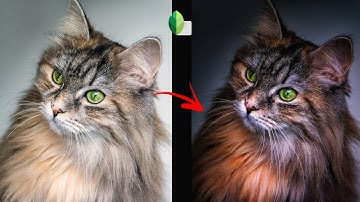 New cat photo Editing😼 ! snapseed aap ! mobile edit #snapseed