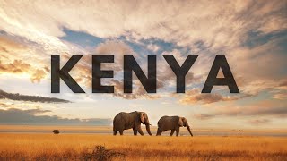 Kenya Safari Turu: Afrika'nın Vahşi Doğasında Yolculuk