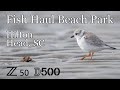 Fish Haul Beach Park • Hilton Head • Z50 D500