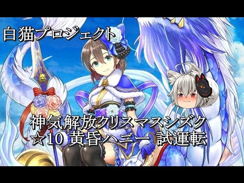 【白猫プロジェクト】神気解放クリスマスシズク試運転 ☆10 黄昏ハニー