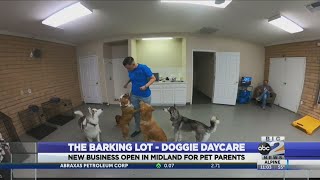 The Barking Lot - New Doggie Daycare in Midland