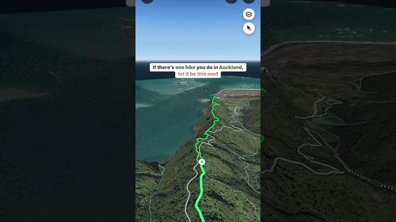 Hike with the MOST INSANE VIEWS in Auckland. You need to do this NZ hike if you haven’t done it yet!